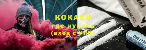 ECSTASY Алзамай