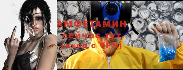 ECSTASY Алзамай