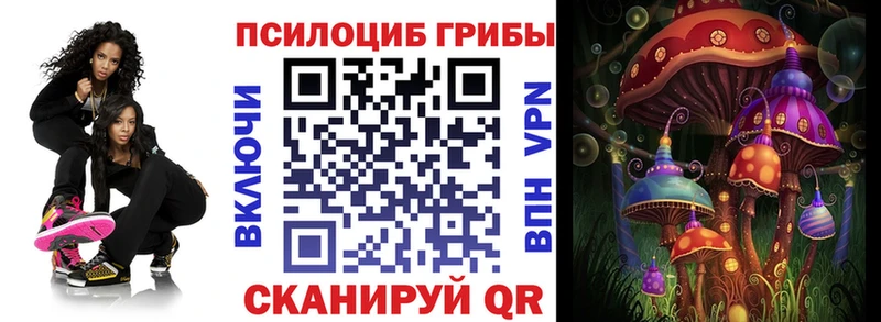 Галлюциногенные грибы Psilocybe  Жуков 